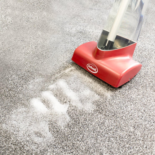 Ewbank Cascade Carpet Cleaner/Shampooer & Reviews Wayfair